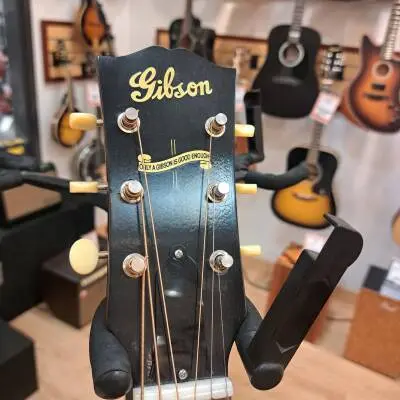 Gibson - AC4B42VSNH 2